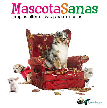 Terapias para mascotas en Barcelona